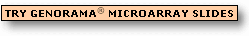 Try Genorama Microarray slides